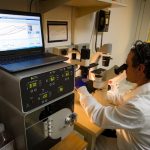 What Does a Doctor Look for in a Mammogram? Decoding Key Elements
